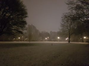 20171208_1936261426702816.jpg