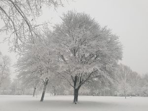 20171210_1515271860585479.jpg