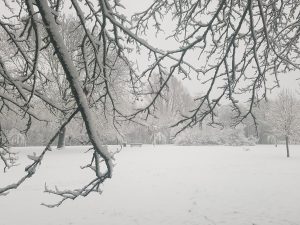 20171210_151643228060613.jpg