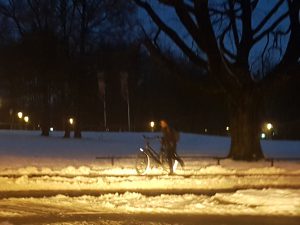 20171211_0803381042959806.jpg
