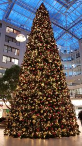 img-20171211-wa0005160924575.jpg