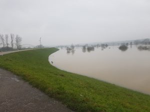 20180111_095600.jpg