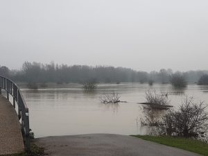 20180111_095858.jpg