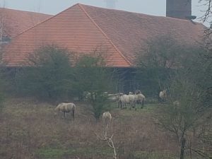 20180111_100822.jpg