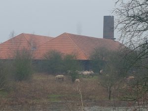 20180111_100825.jpg