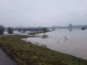 20180111_100832.jpg